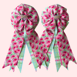 Show Bows: Watermelon Picnic 🍉 NEW
