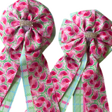 Show Bows: Watermelon Picnic 🍉 NEW