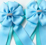 💝 Show Bows: Baby Blue on Tiffany