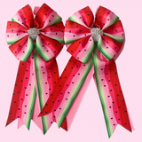 * Show Bows: Watermelon Slice On Pink 🩷🍉