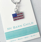 * Bridle Charm: USA Flag 🇺🇸