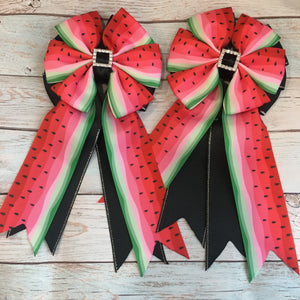 💚 Show Bows: Watermelon Slice