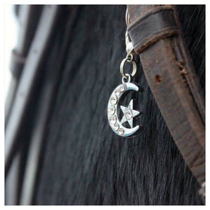 Bridle Charm, Boot Charm, Tack Charm, Equestrian Charm, Bling charm, Bridle charms, Equestrian jewelry, Bracelet Charm, 