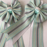 💐 Show Bows: Hampton Stripe Mint