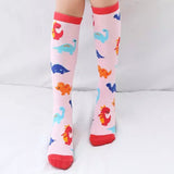 Youth Boot Socks: Dinosaurs *NEW