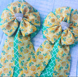 Show Bows: Lemonade Stand 🍋 NEW