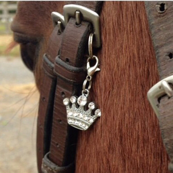 Bridle Charm, Boot Charm, Tack Charm, Equestrian Charm, Bling charm, Bridle charms, Equestrian jewelry, Bracelet Charm, 