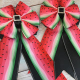 💚 Show Bows: Watermelon Slice