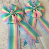 🫶 Show Bows: Pastel Rainbow